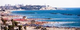 Tel Aviv Shore 259x100 Surfs Up in Israel!
