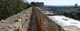 Old City Wall Ramparts 259x100 Top 10 Family Activities in Israel