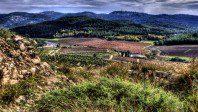 12 Day Jewish Heritage Tour - Journey back in time and explore Israel's ancient holy sites!