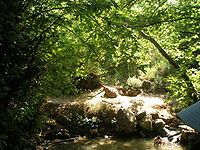 Amud Stream Nature Reserve - Israel Tour Site