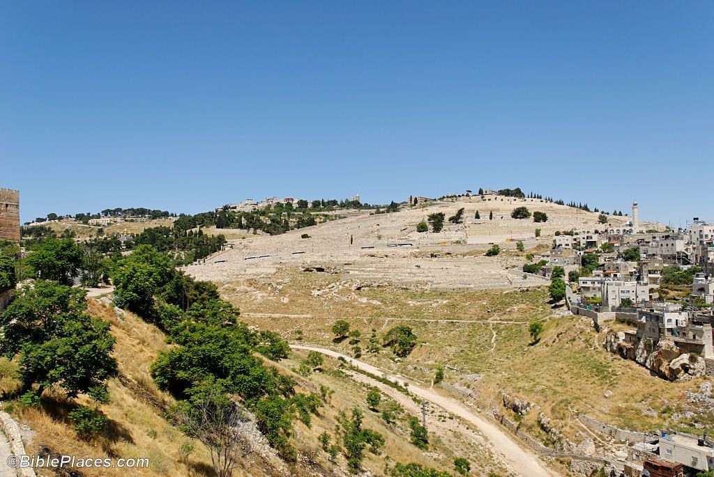 Mount of Olives - Israel Tour Site