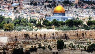15 Day Jewish Heritage Israel & Petra Tours