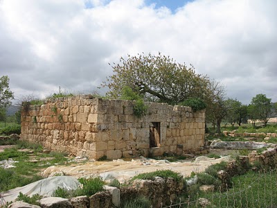 Tel Shilo